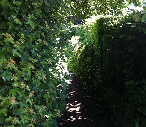 Der Schuetzenhof 3* 巴特诺因阿尔-阿尔韦勒